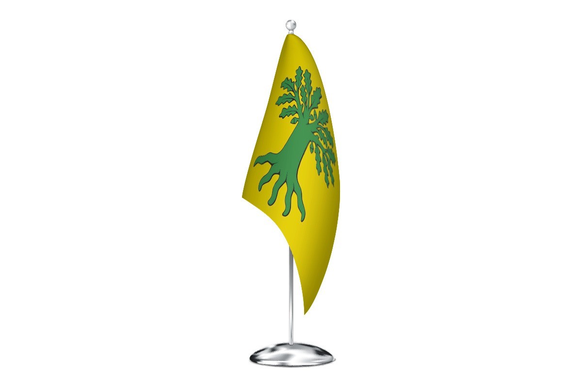Bandera de despacho de Carballo de alta calidad