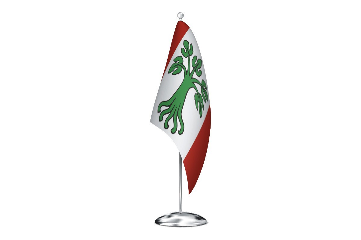 Bandera de despacho de Paderne de Allariz de alta calidad