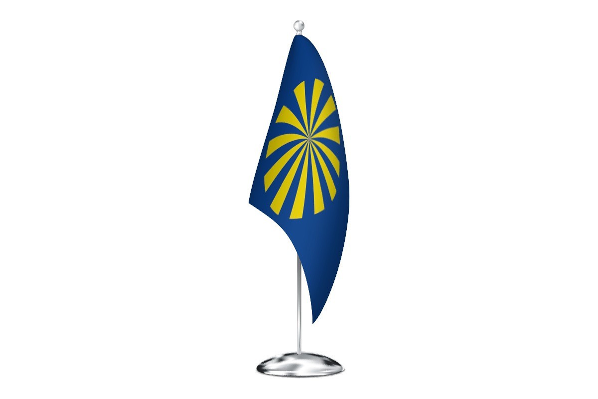 Bandera de despacho de Saviñao de alta calidad