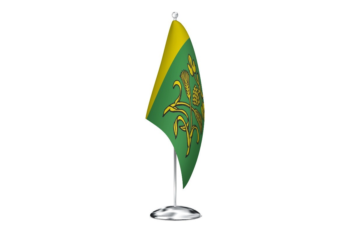 Bandera de despacho de Teixeira de alta calidad