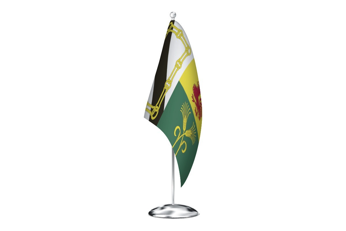 Bandera de despacho de Xinzo de Limia de alta calidad