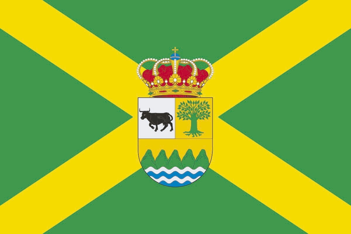 Bandera de Amieva de alta calidad para exterior Bandera de Amieva de alta calidad para exterior
