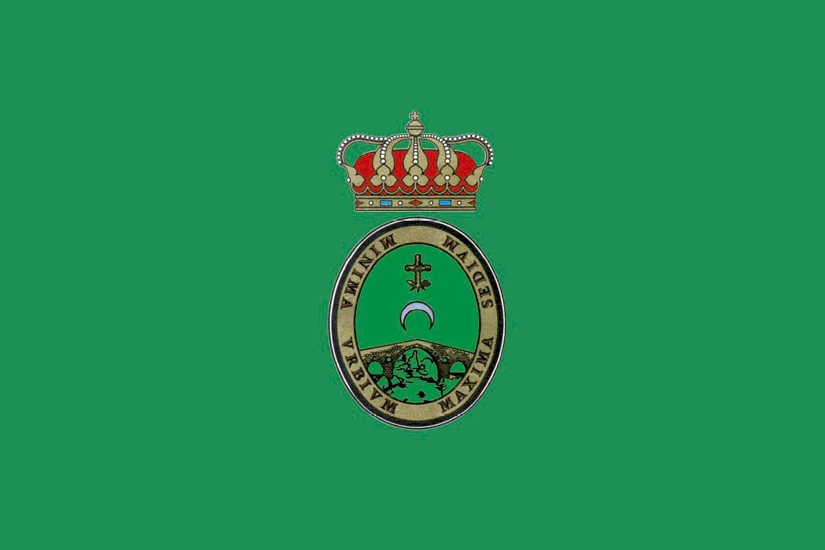 Bandera de Cangas de Onís de alta calidad para exterior