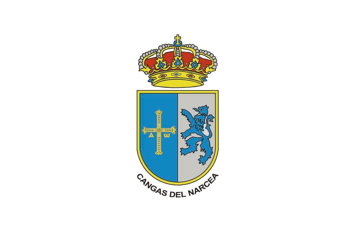 Bandera de Cangas del Narcea de alta calidad para exterior Bandera de Cangas del Narcea de alta calidad para exterior