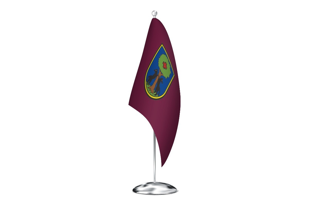 Bandera de despacho de Etxebarri de alta calidad