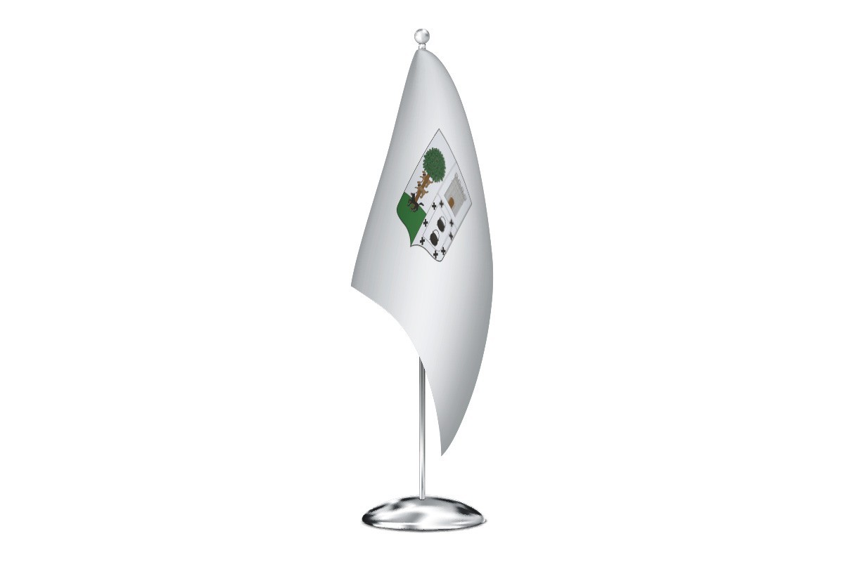 Bandera de despacho de Lanestosa de alta calidad