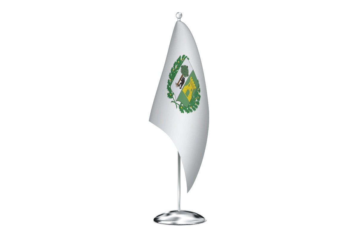 Bandera de despacho de Leioa de alta calidad