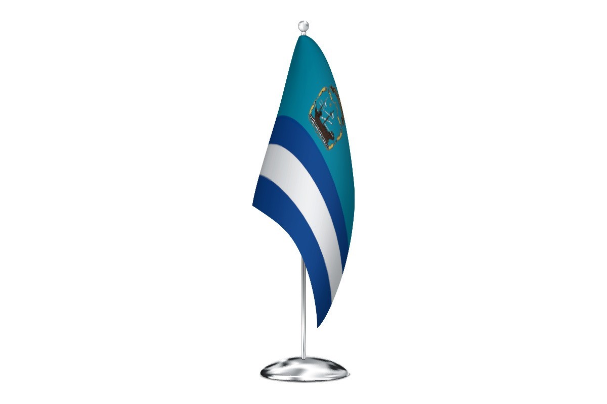 Bandera de despacho de Plentzia de alta calidad