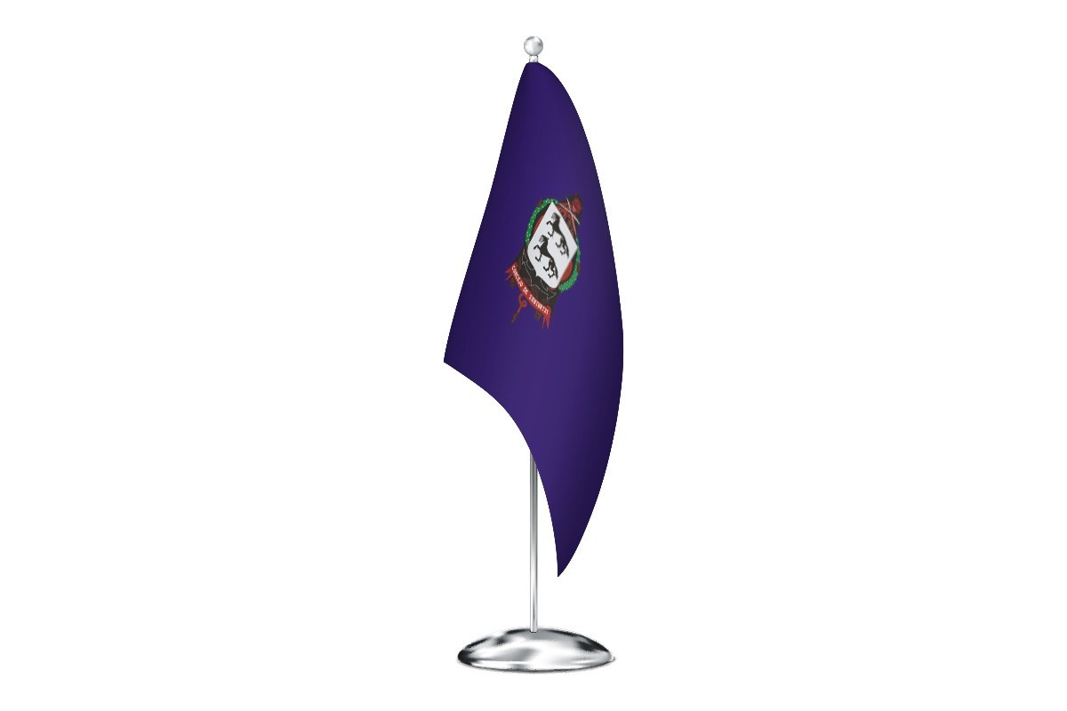 Bandera de despacho de Santurtzi de alta calidad