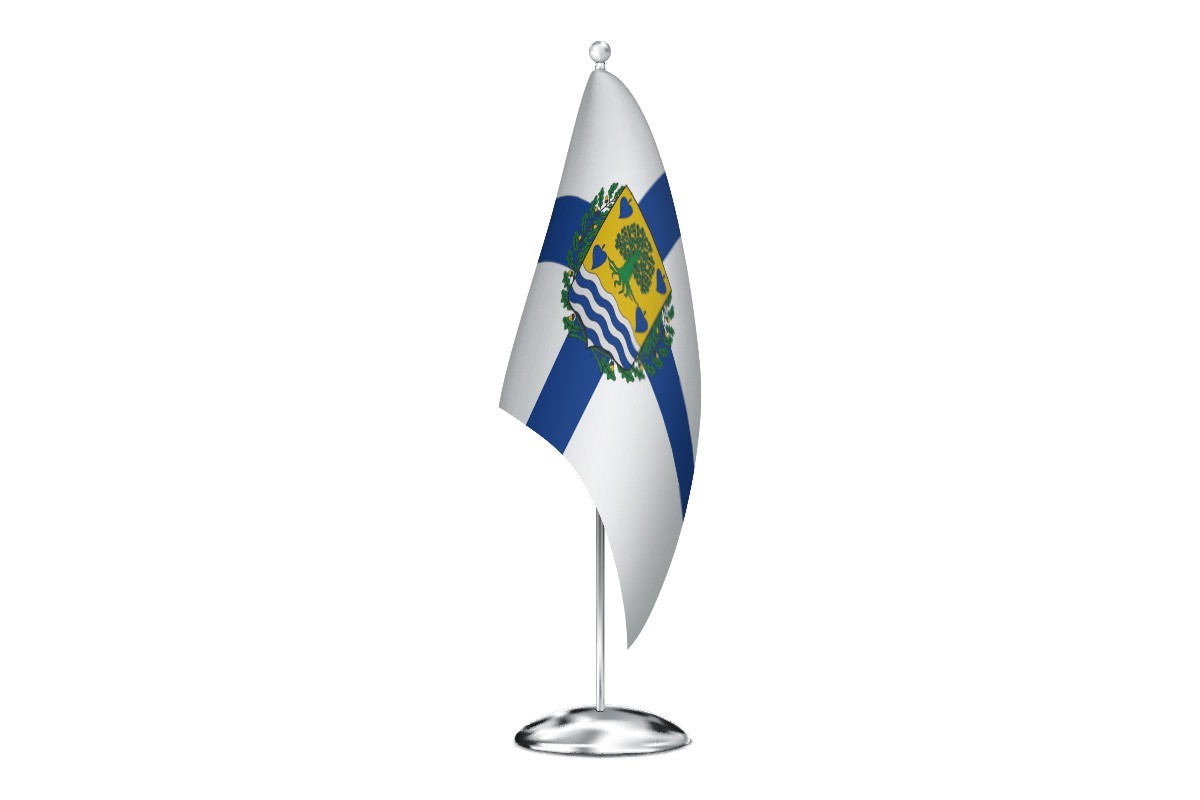 Bandera de despacho de Zamudio de alta calidad