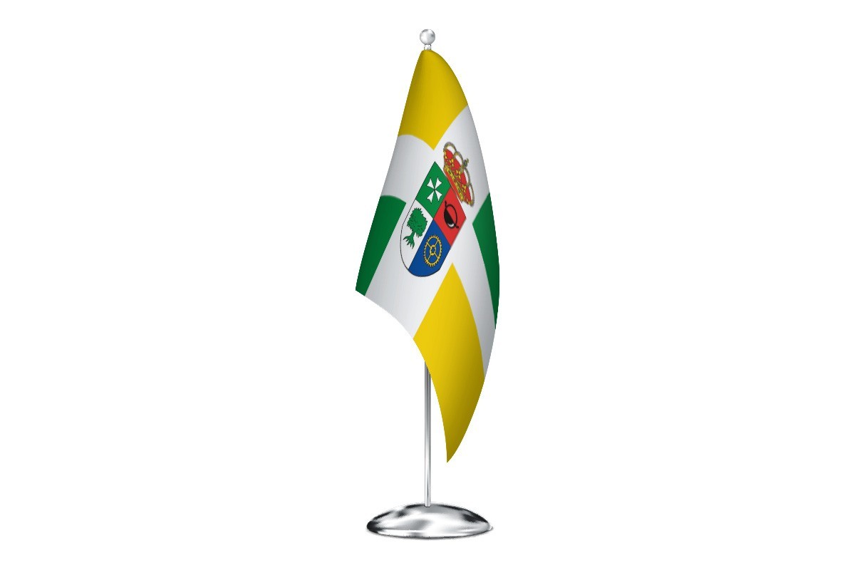 Bandera de despacho de Valdeolea de alta calidad