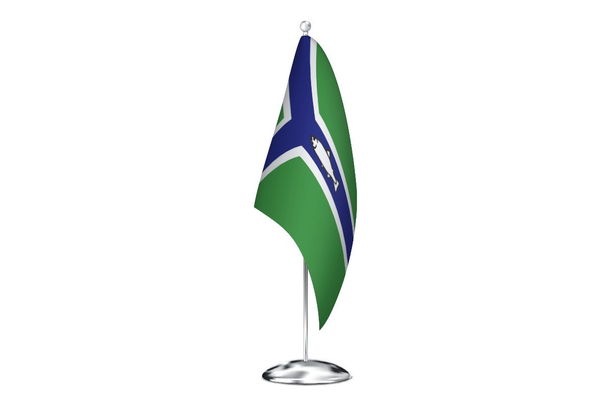 Bandera de despacho de Ribera de Arriba de alta calidad