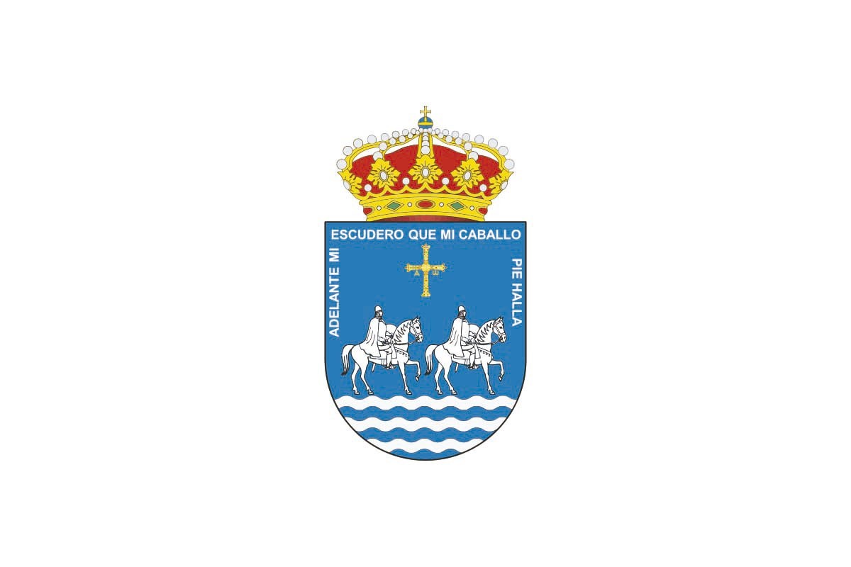 Bandera de Piloña de alta calidad para exterior Bandera de Piloña de alta calidad para exterior