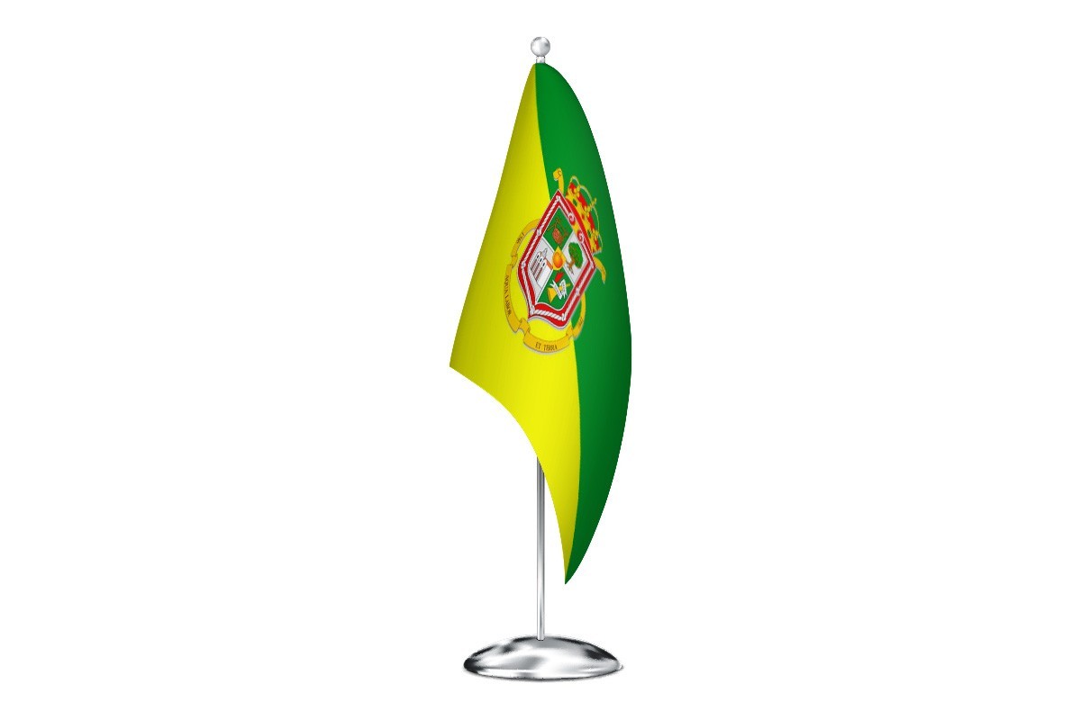 Bandera de despacho de Valleseco de alta calidad