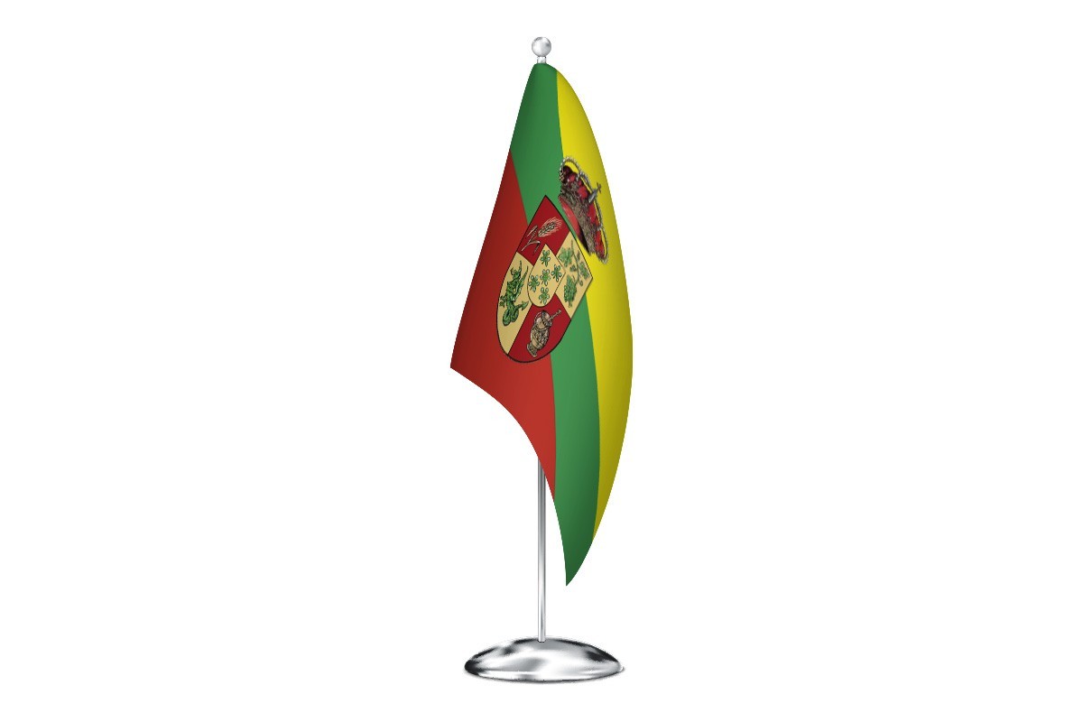 Bandera de despacho de Santa Marta de alta calidad