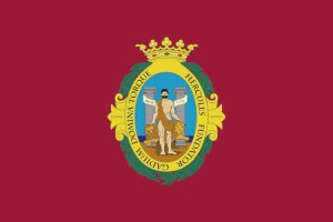 Bandera de despacho de Cadiz de alta calidad