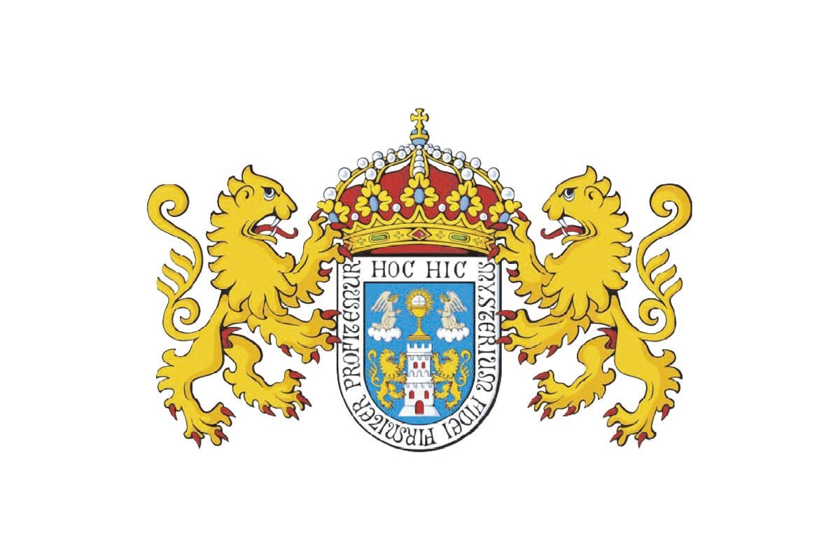 Bandera de despacho de Lugo de alta calidad