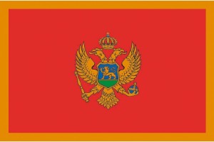 Bandera de despacho de Montenegro alta calidad
