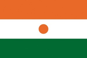 Bandera de despacho de Niger de alta calidad