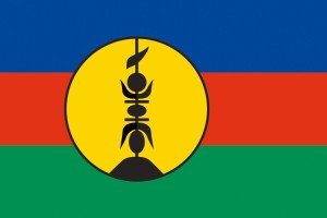 Bandera de despacho de Nueva Caledonia de alta calidad