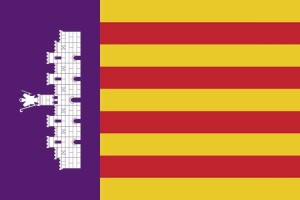 Bandera de Palma de alta calidad para exterior 123