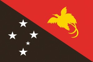Bandera de despacho de Papua Nueva Guinea de alta calidad