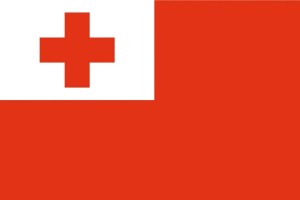 Bandera de despacho de Tonga de alta calidad
