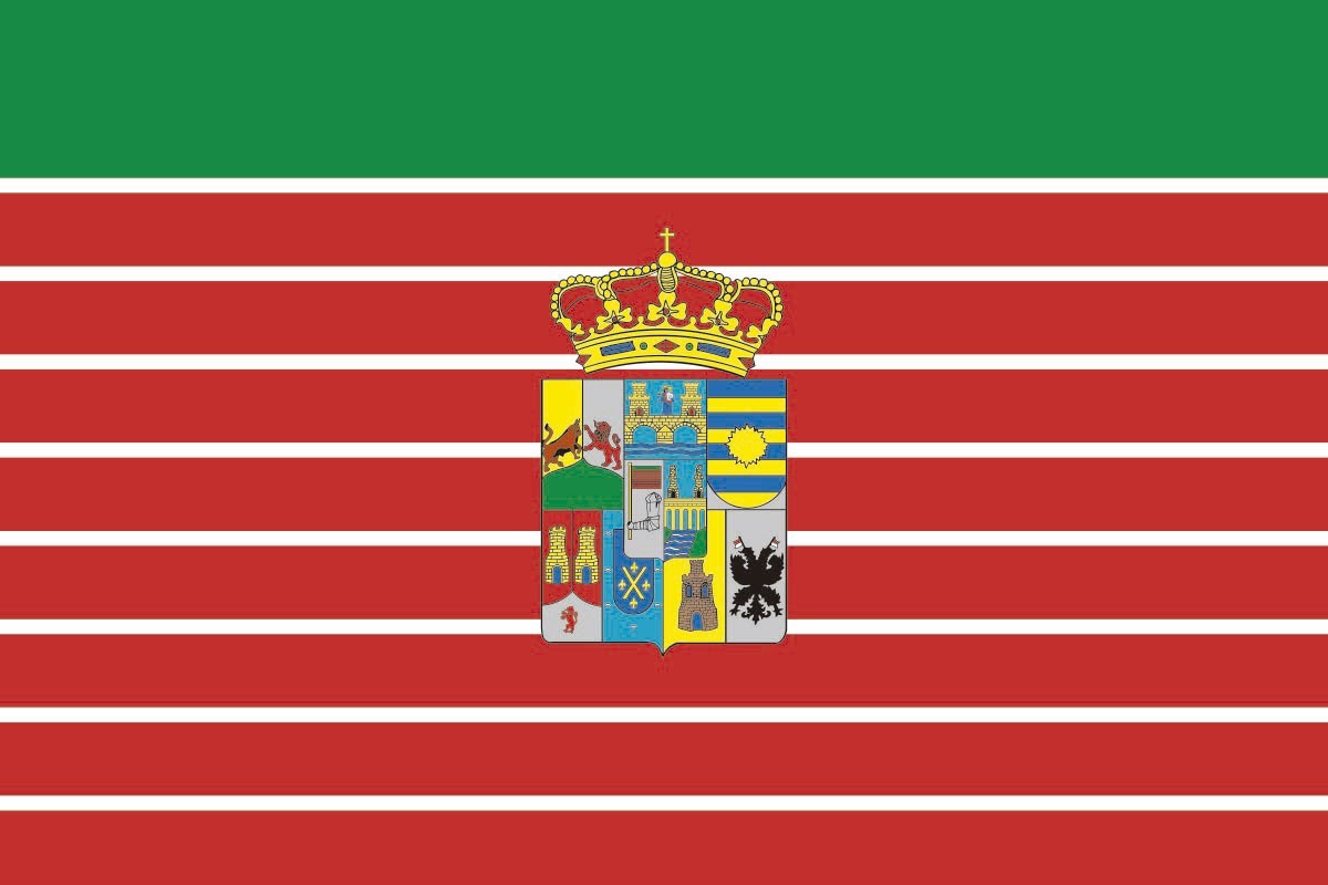 Bandera de despacho de Zamora provincia con escudo de alta calidad