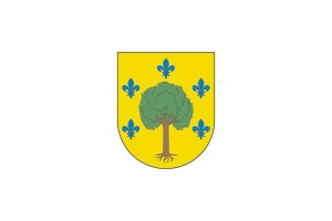 Bandera de despacho de Villabona de alta calidad