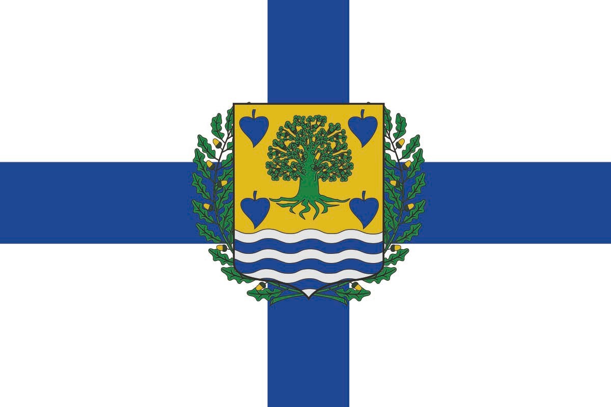 Bandera de despacho de Zamudio de alta calidad