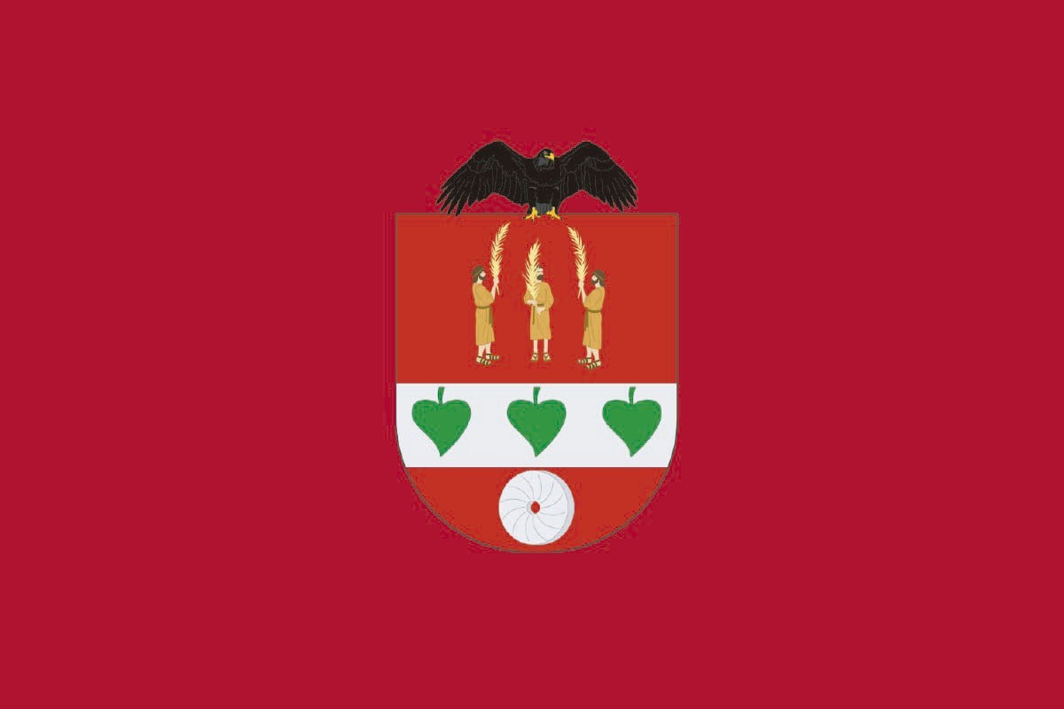 Bandera de despacho de Ziortza de alta calidad