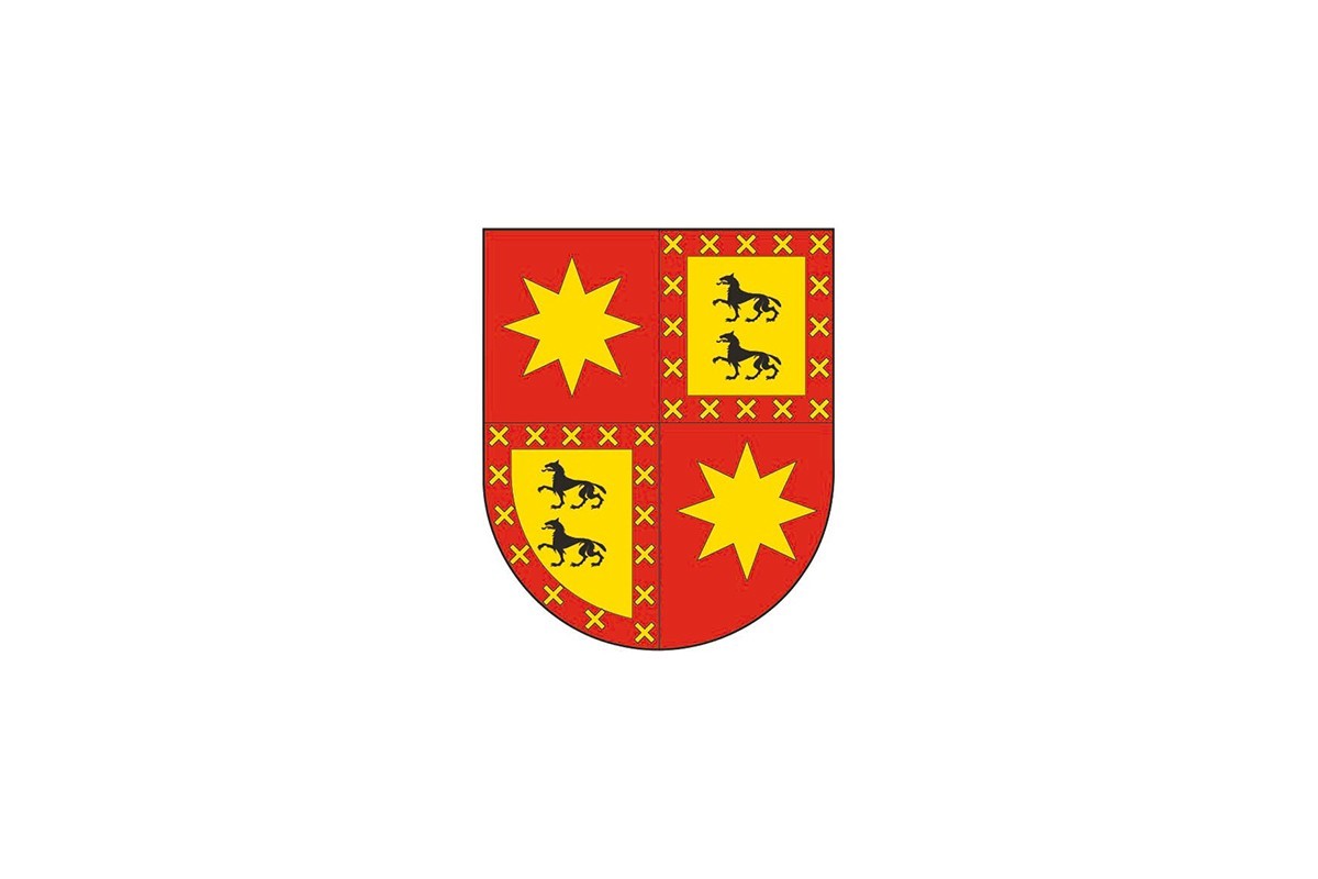 Bandera de despacho de Abáigar de alta calidad