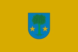 Bandera de despacho de Allín de alta calidad