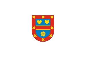 Bandera de despacho de Azuelo de alta calidad