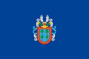 Bandera de despacho de Barañain de alta calidad