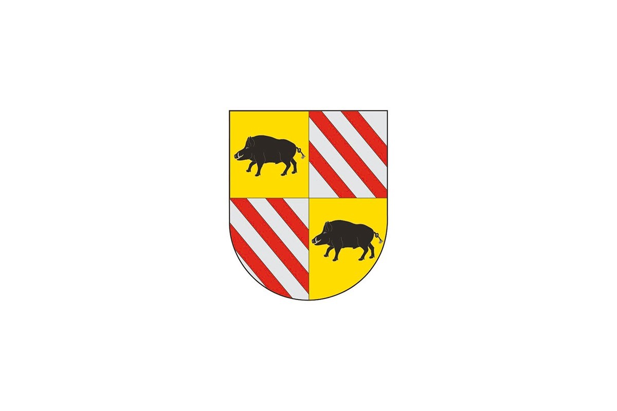 Bandera de despacho de Belascoáin de alta calidad Bandera de despacho de Belascoáin de alta calidad