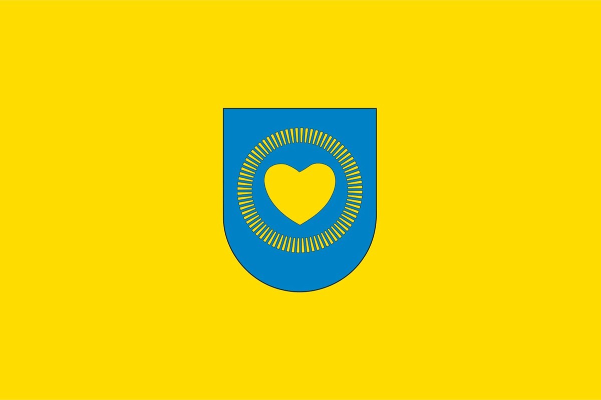 Bandera de despacho de Lónguida de alta calidad Bandera de despacho de Lónguida de alta calidad