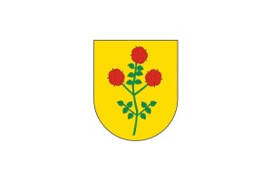 Bandera de despacho de Olaibar de alta calidad