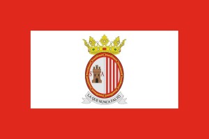 Bandera de despacho de Sangüesa de alta calidad