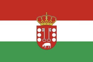 Bandera de despacho de Rozas de Puerto Real de alta calidad