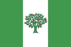 Bandera de despacho de Cañiza de alta calidad