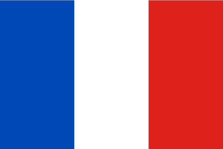 BANDERA FRANCIA