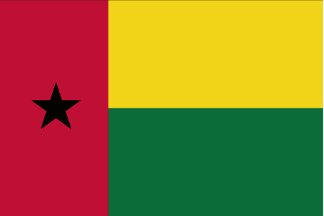 BANDERA GUINEA CON ESCUDO