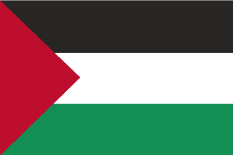 BANDERA PALESTINA MASTIL