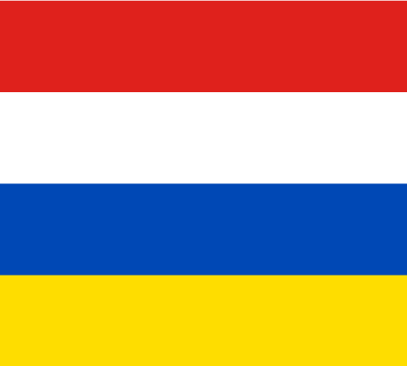 BANDERA ESPECIAL DIVISÓN BARCO