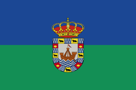 BANDERA BAREYO