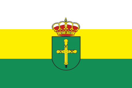 BANDERA CAMALEÑO