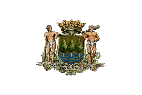 BANDERA GIPUZCOA DIPUTACIÓN
