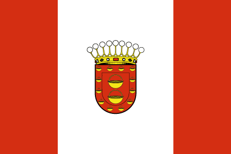 BANDERA DIPUTACIÓN LA GOMERA