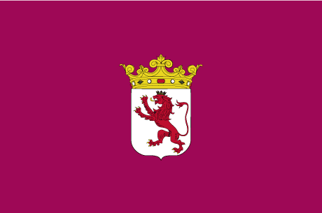 BANDERA DIPUTACIÓN LEÓN